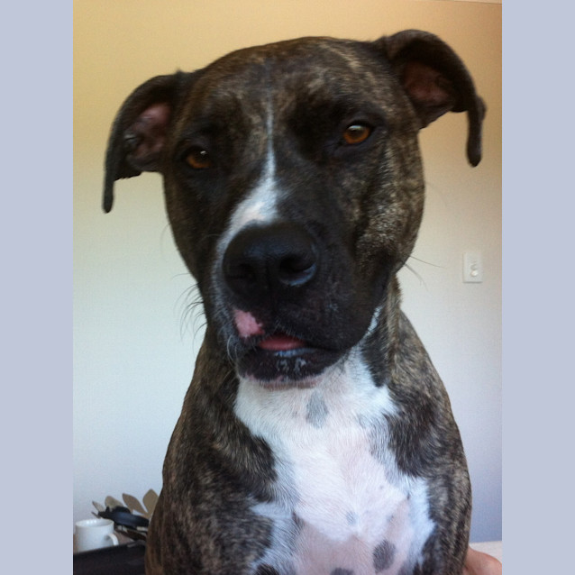Photo of Cuda