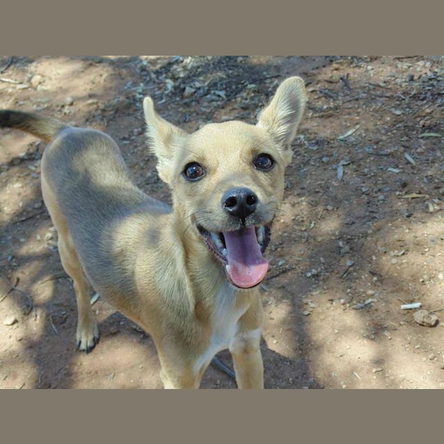 Photo of Taco   No More Applications Please 