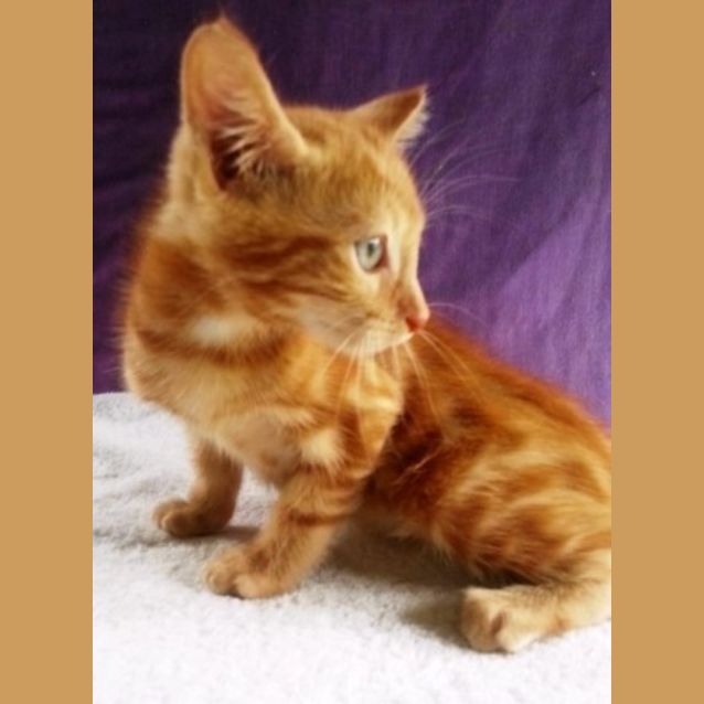 Photo of Kyra