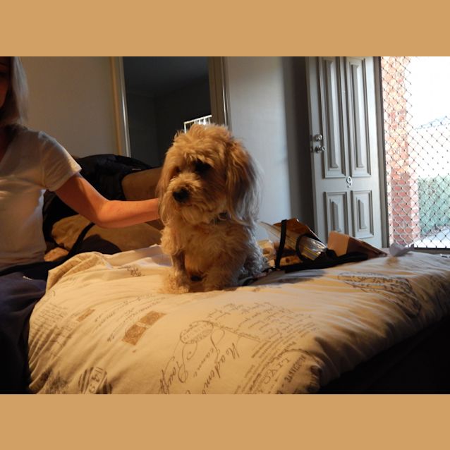Photo of Tobee