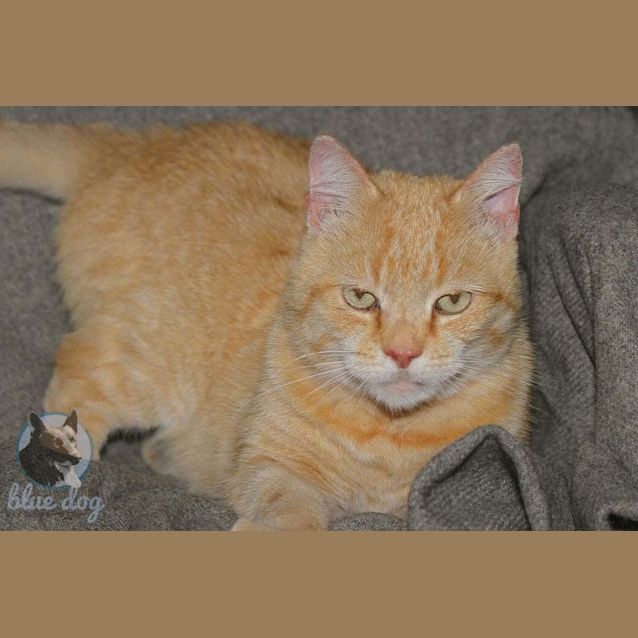 Photo of Mason (C620)