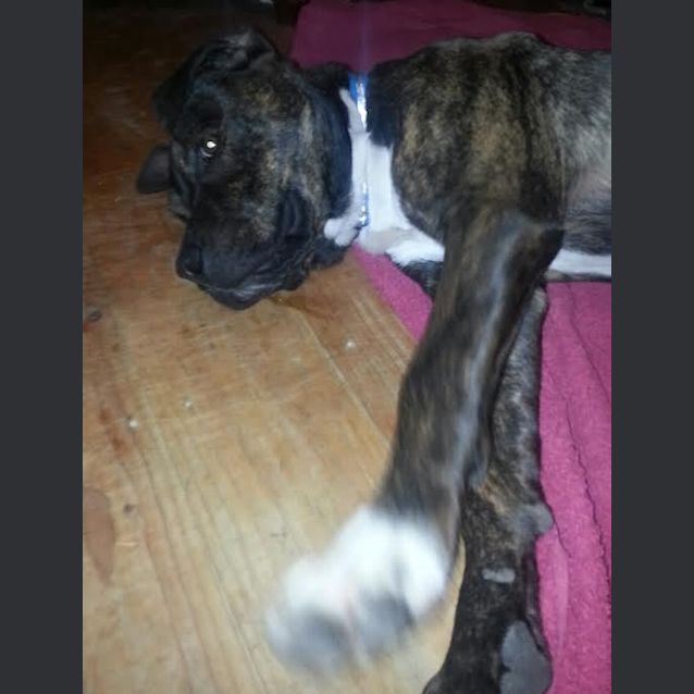 Photo of Boris ... Beautiful Big Baby Boy