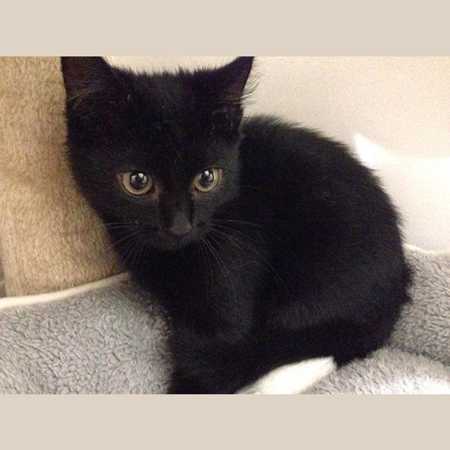 Photo of Tia (Is Ready To Go!)