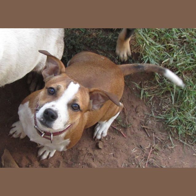 Photo of Bosley