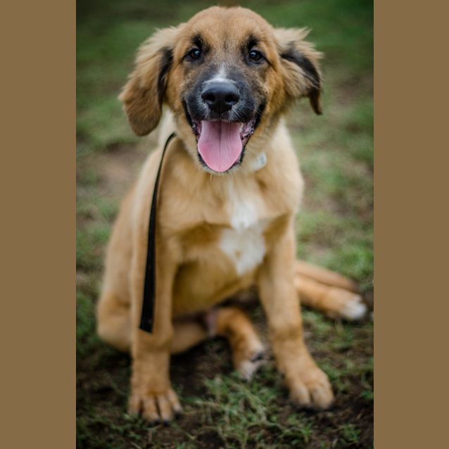 Photo of Kane