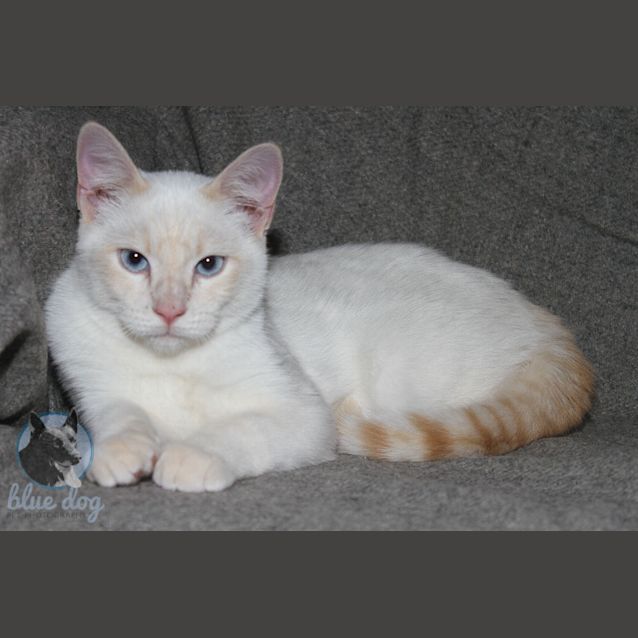 Photo of Dustin (C623)