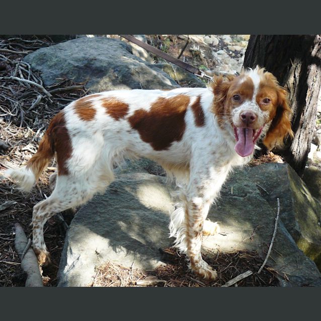 Photo of Edmond