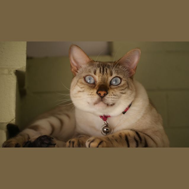 Photo of Bridget