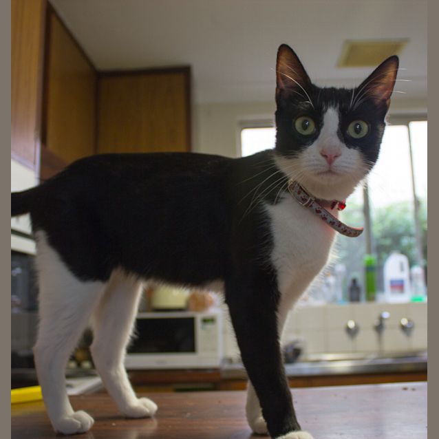 Photo of Tabitha 