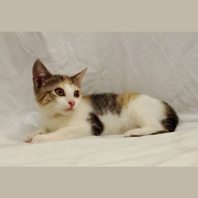Photo of Crystal