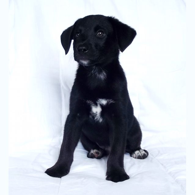 Photo of Scooter