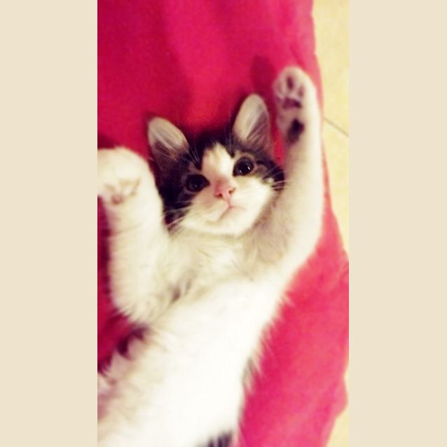 Photo of Bridget