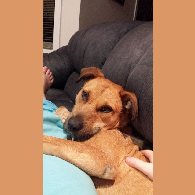 Photo of Winnie