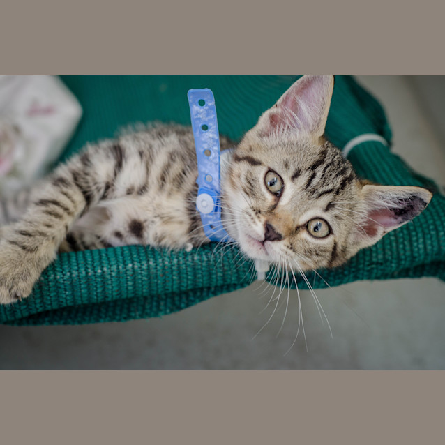 Photo of Milly