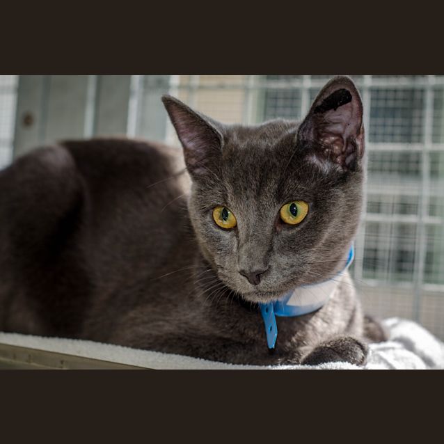 Photo of Zimba