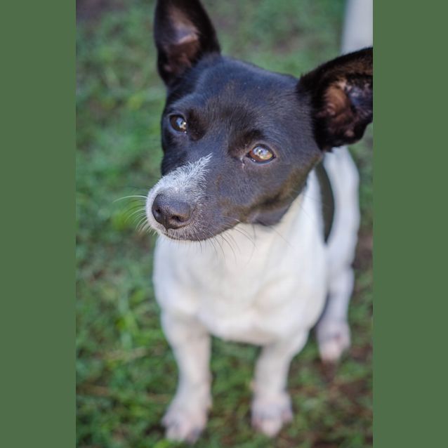 Photo of Bentley