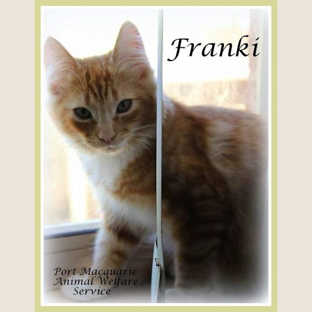 Photo of Franki
