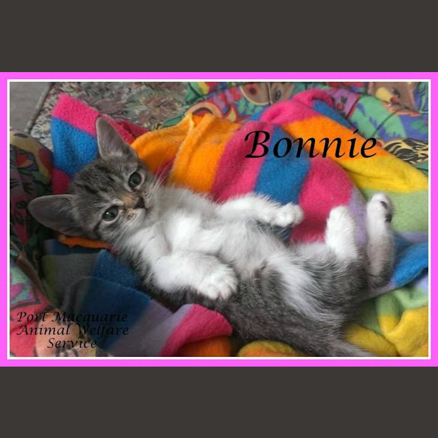 Photo of Bonnie