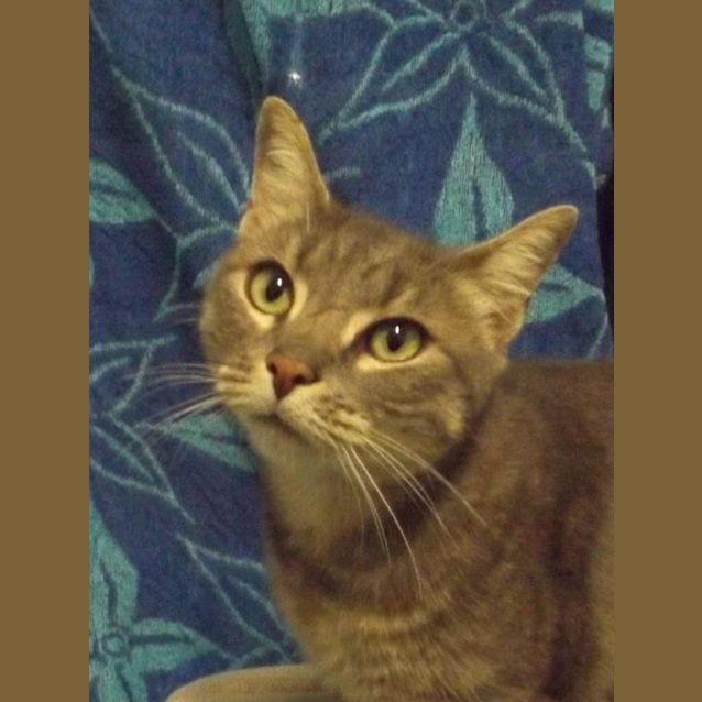 Photo of Nobel