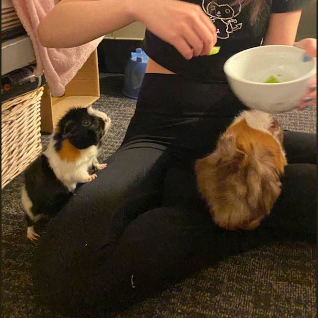 Photo of Mia & Peach