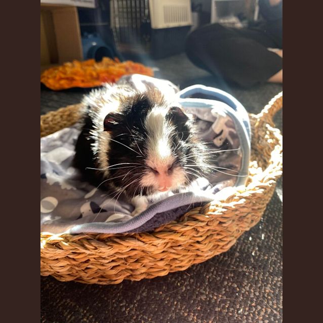 Photo of Mia & Peach