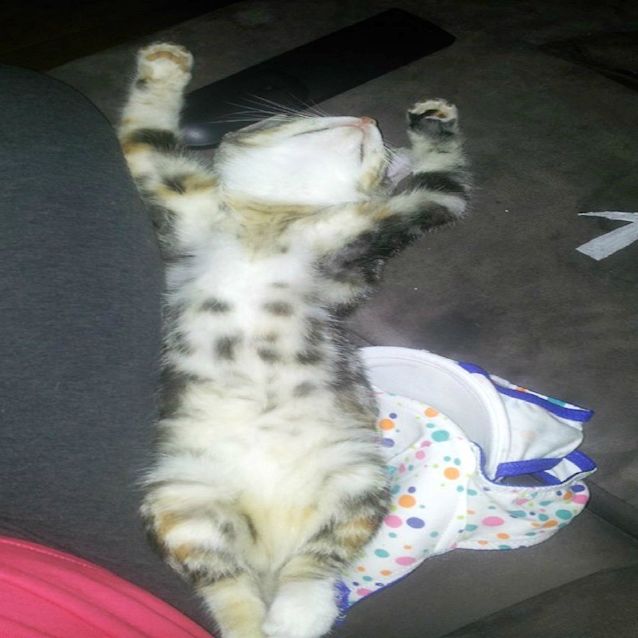 Photo of Lurleen Lumpkin