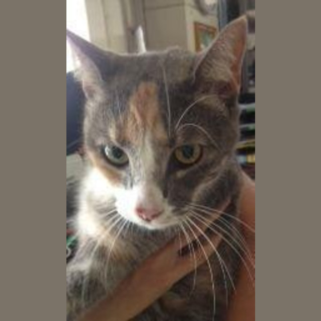 Photo of Binky