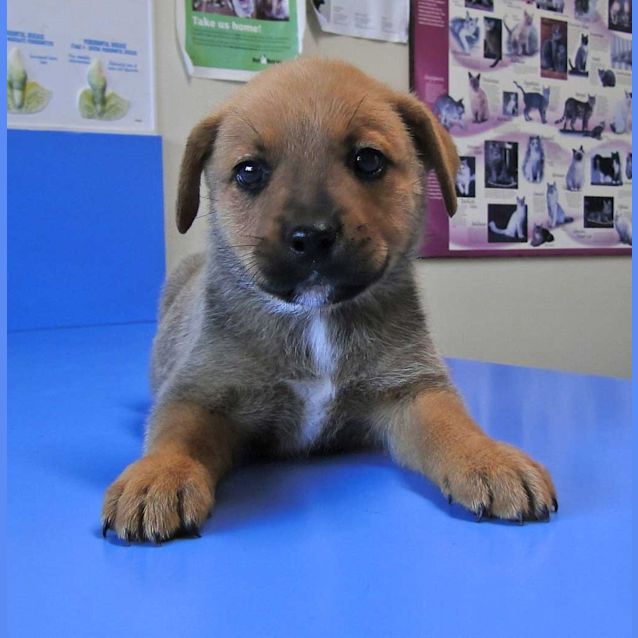 Photo of Bobbi