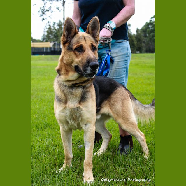 Photo of Max