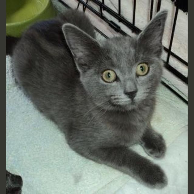 Photo of Sooty