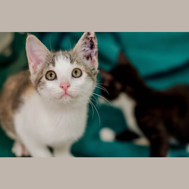 Photo of Olivia