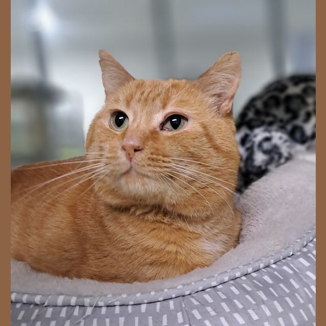 Photo of Lenny 