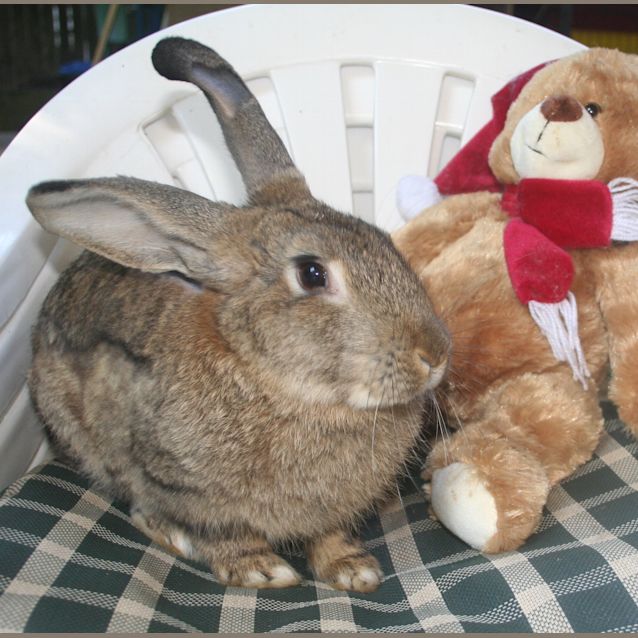 Photo of Heff
