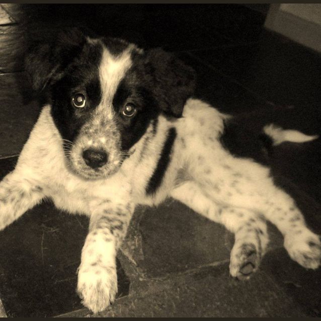 Photo of Zara