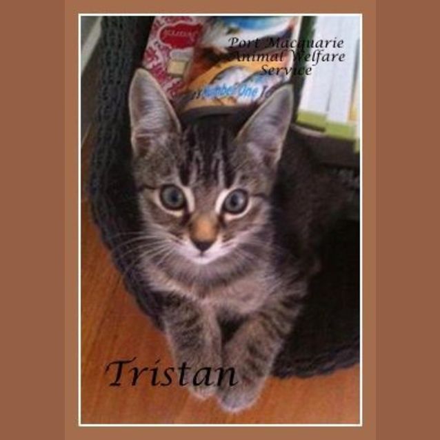 Photo of Tristan