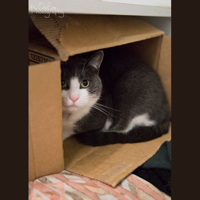 Photo of Sally