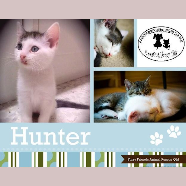 Photo of Hunter