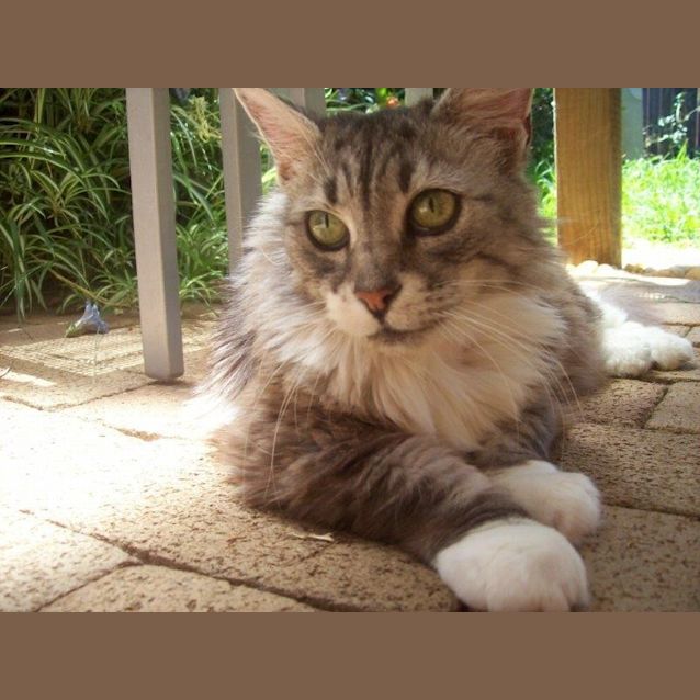 Photo of Sophie