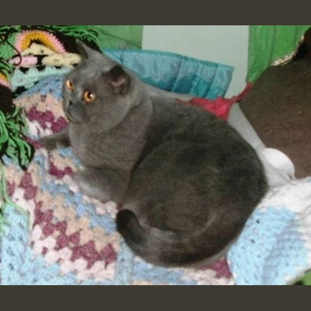 Photo of Lisa & Tilly