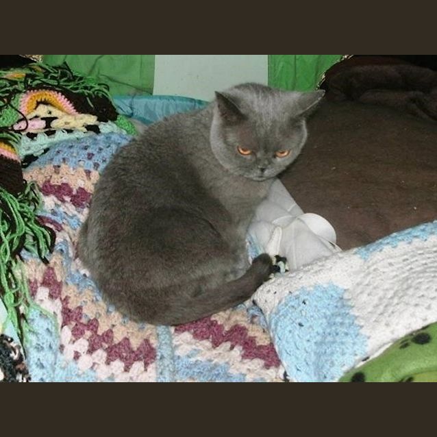 Photo of Lisa & Tilly