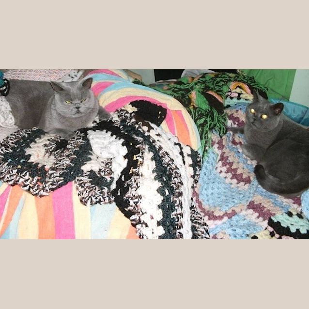 Photo of Lisa & Tilly