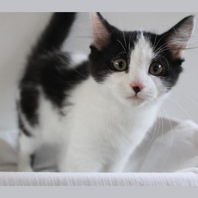 Photo of Bruce