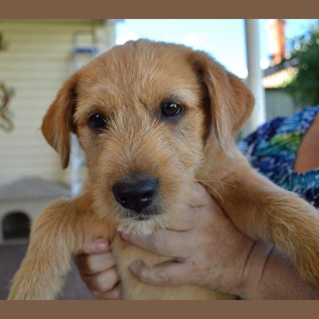 Photo of Paddington ~ A Cuddly Bear!