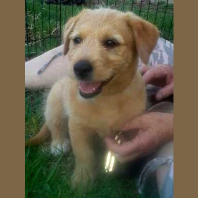 Photo of Paddington ~ A Cuddly Bear!