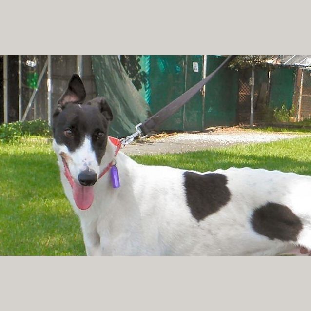 Photo of Le Le. On Trial