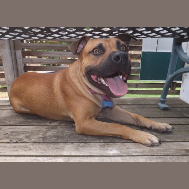 Photo of Handsome Humphrey