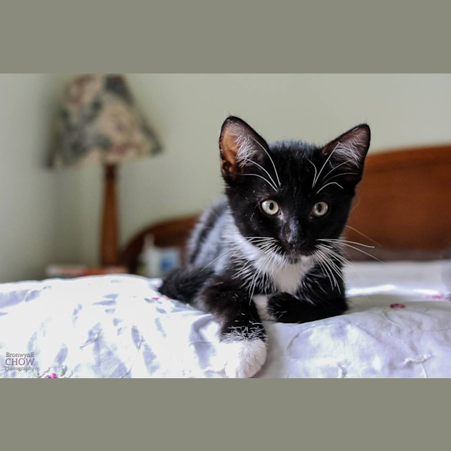 Photo of Leonard