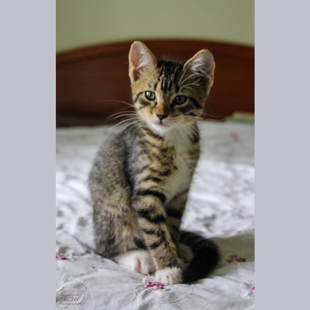 Photo of Leon