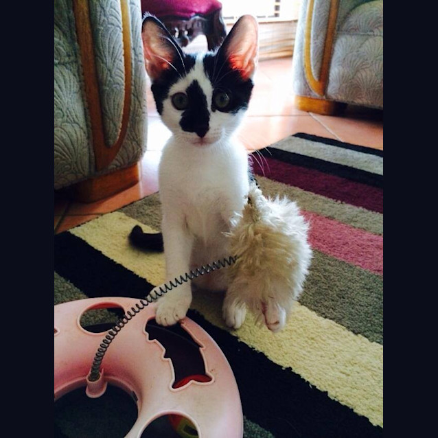 Photo of Miranda Purr