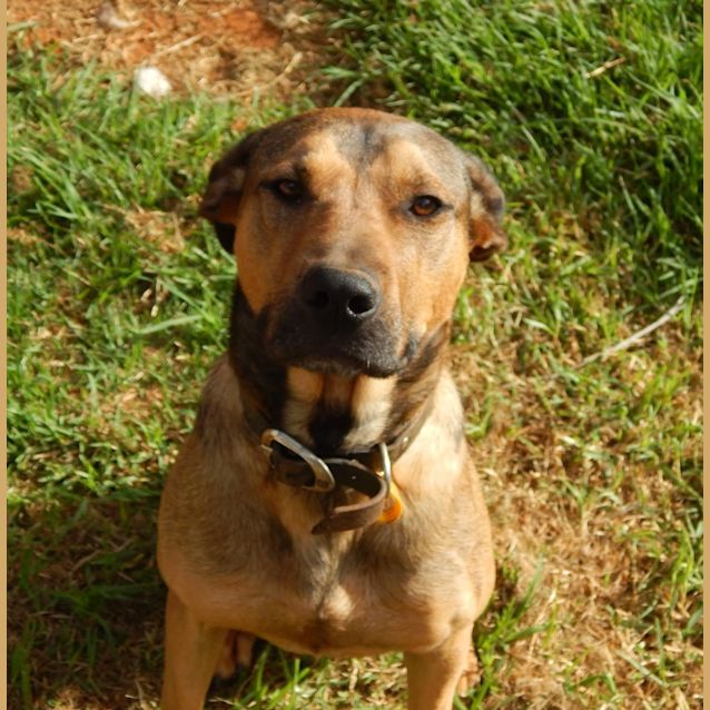 Photo of Buddy